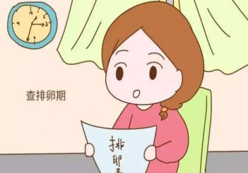 监测排卵需要做什么准备,看完这篇就懂了