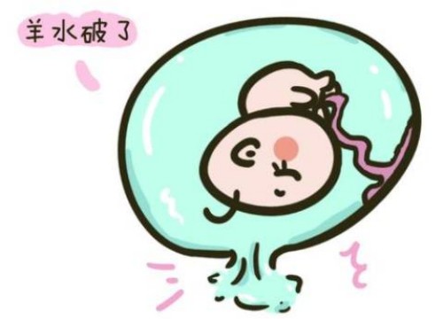 北京试管助孕价格：试管婴儿公立vs私立优势对比，只需三个方面就知哪家好