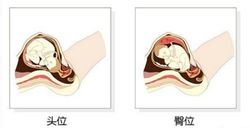 北京试管婴儿价格：北京单身未婚女性做试管费用公布，不超过10万